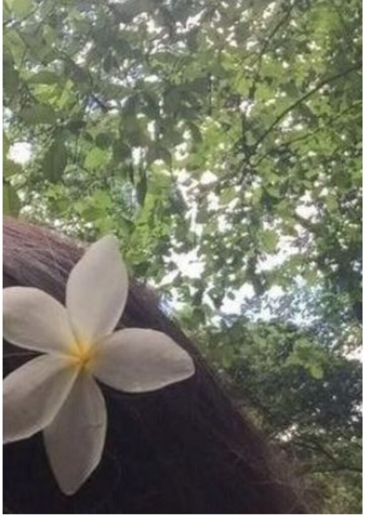 Instagram dp