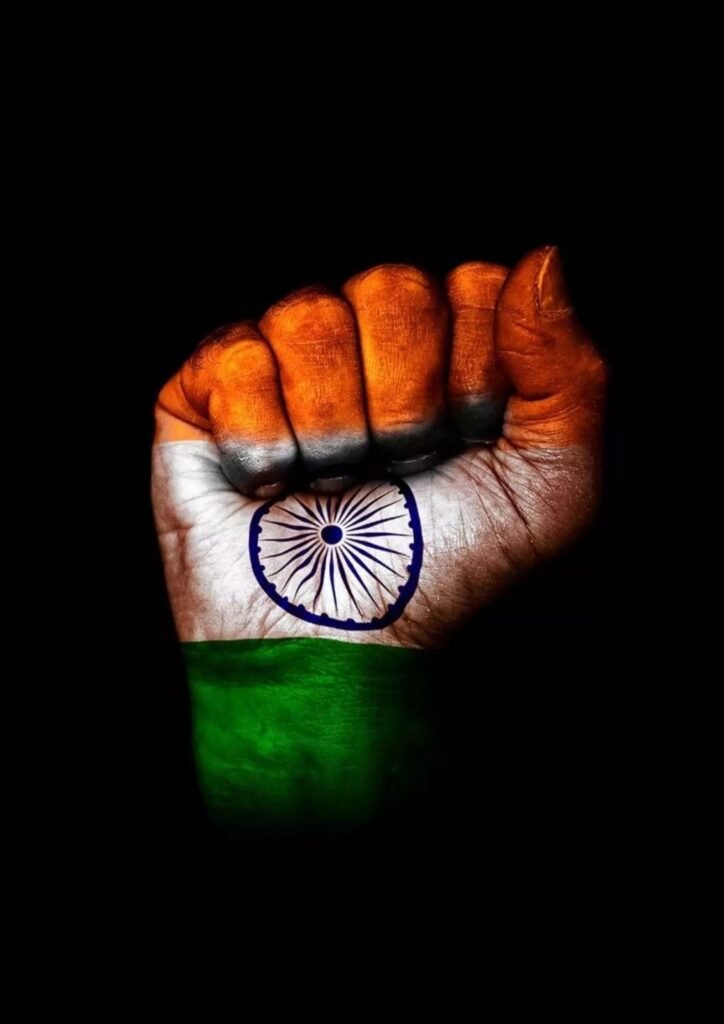 Beautiful Indian Flag DP