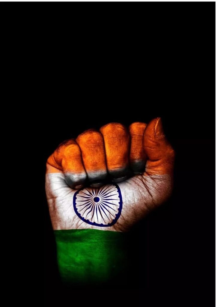 indian flag dp