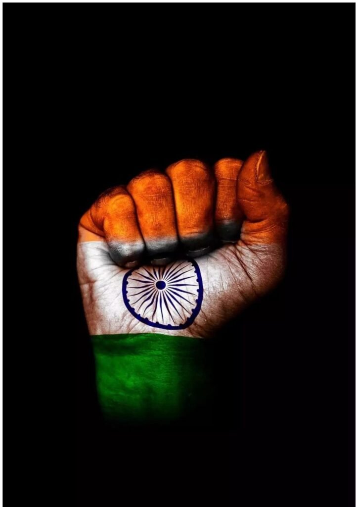 indian flag dp