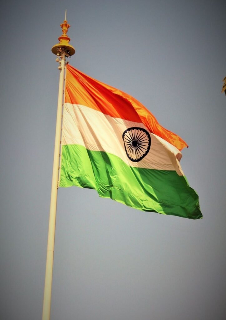 indian flag dp