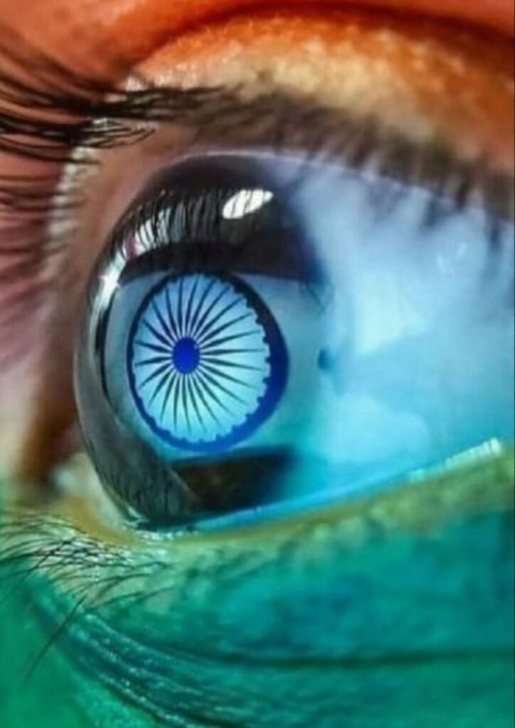 Beautiful Indian Flag DP