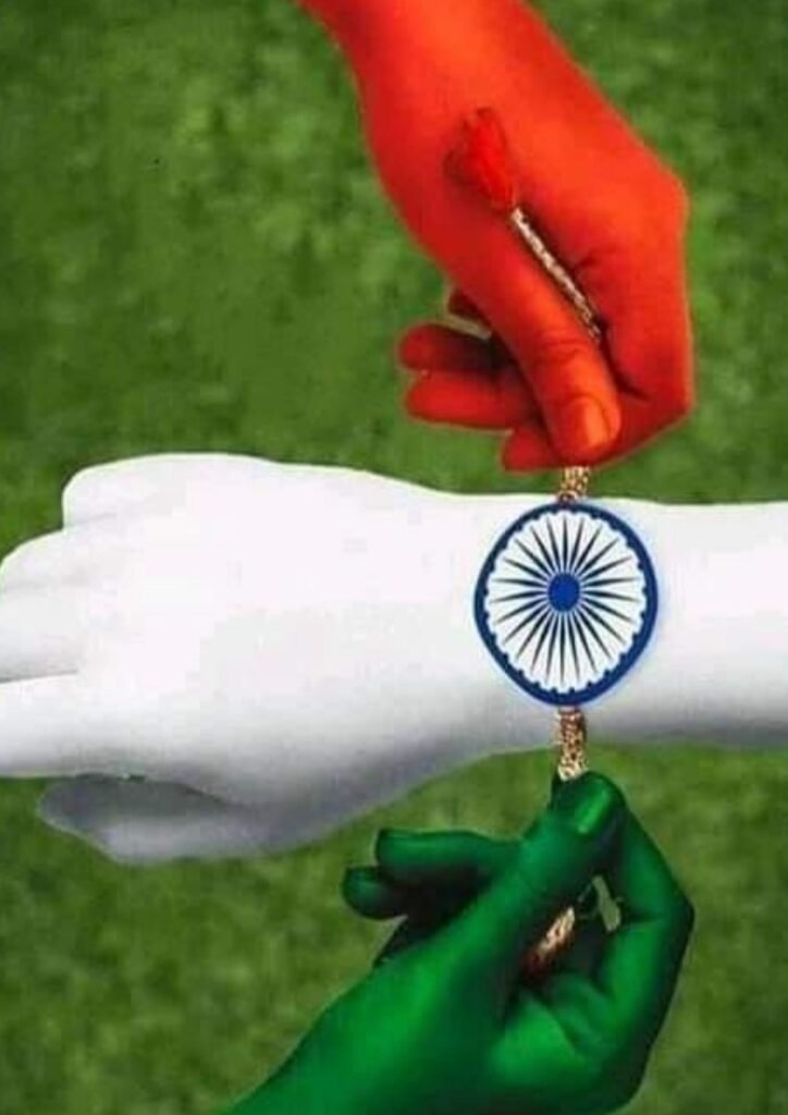 Beautiful Indian Flag DP