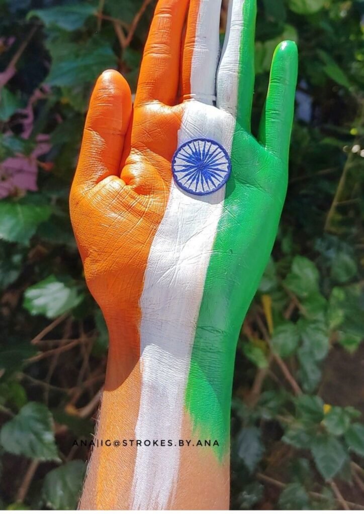 Beautiful Indian Flag DP