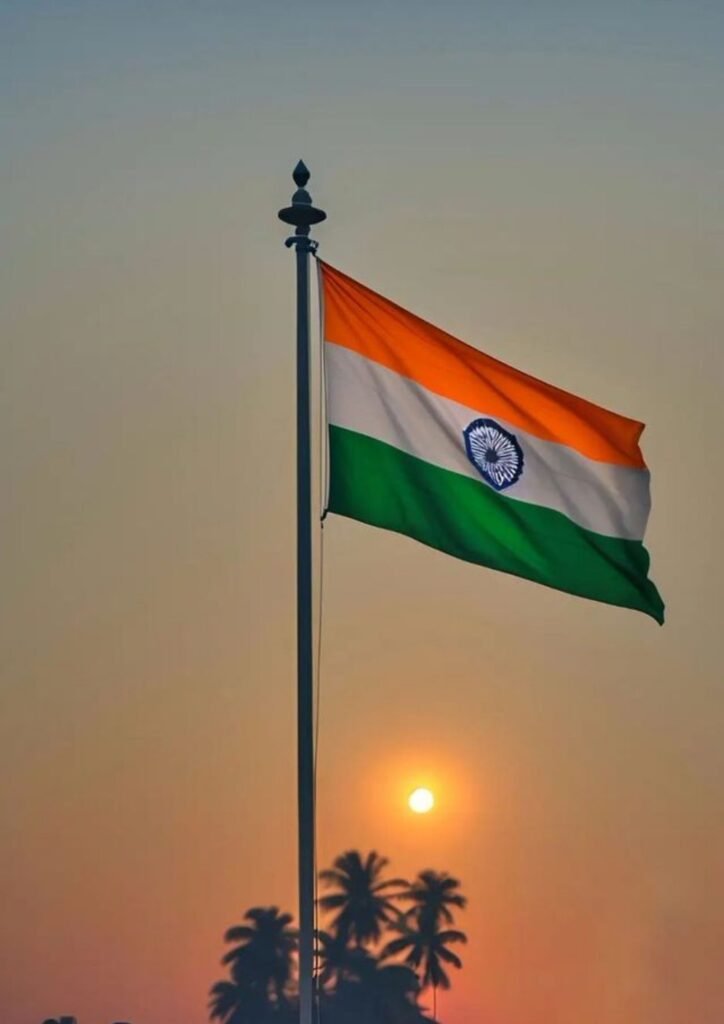 indian flag dp