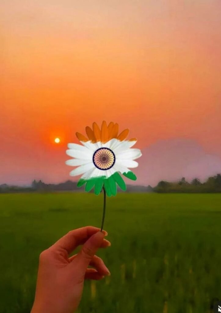 Beautiful Indian Flag DP
