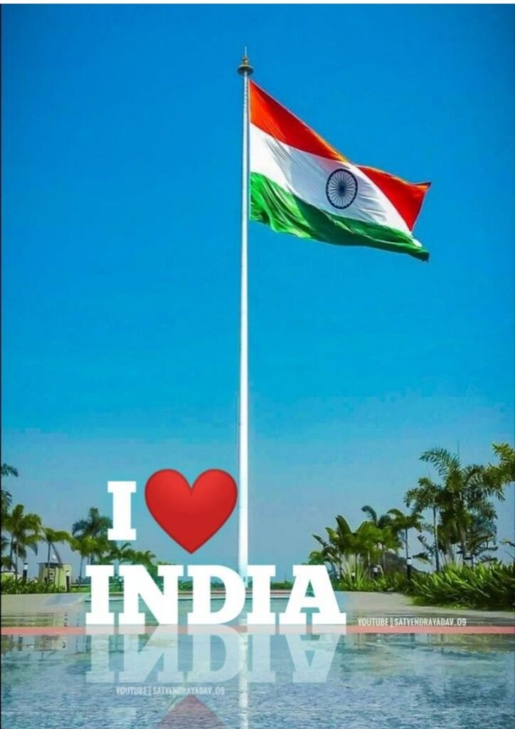indian flag dp