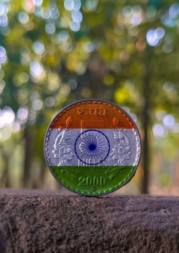 Beautiful Indian Flag DP