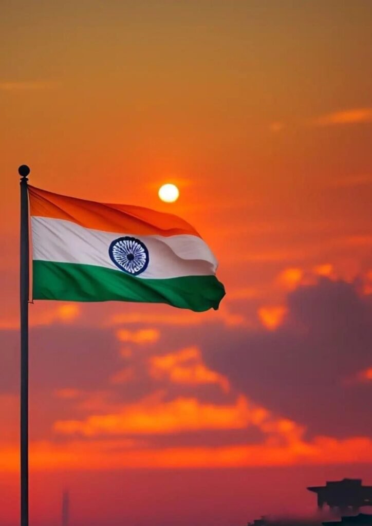 Beautiful Indian Flag DP