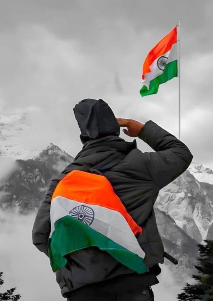 Beautiful Indian Flag DP