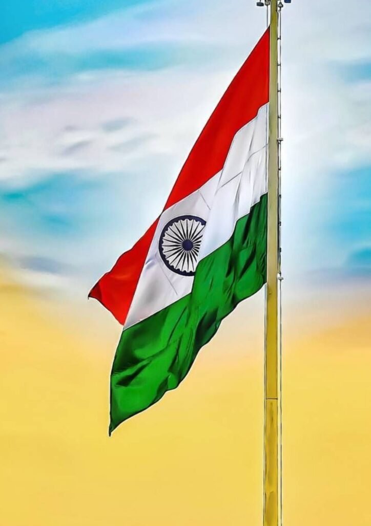 indian flag dp