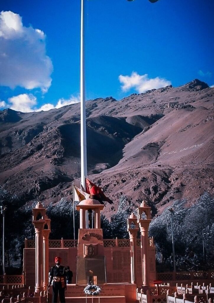 Beautiful Indian Flag DP
