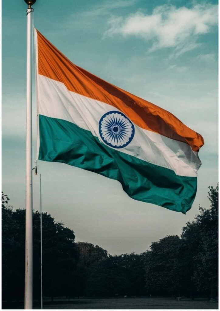 indian flag dp