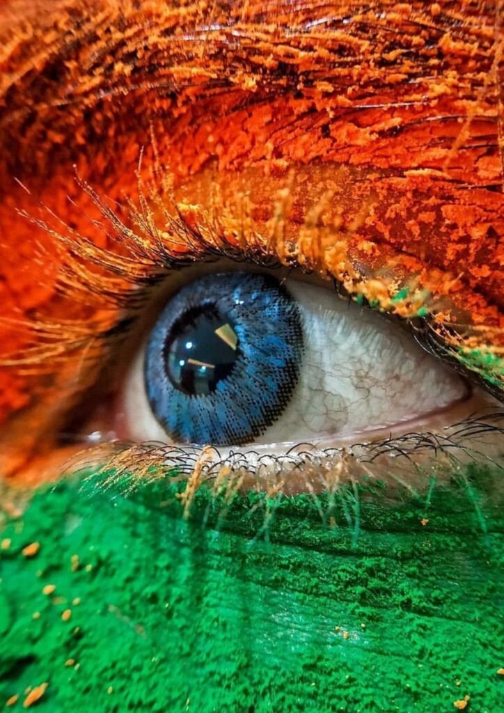 Beautiful Indian Flag DP