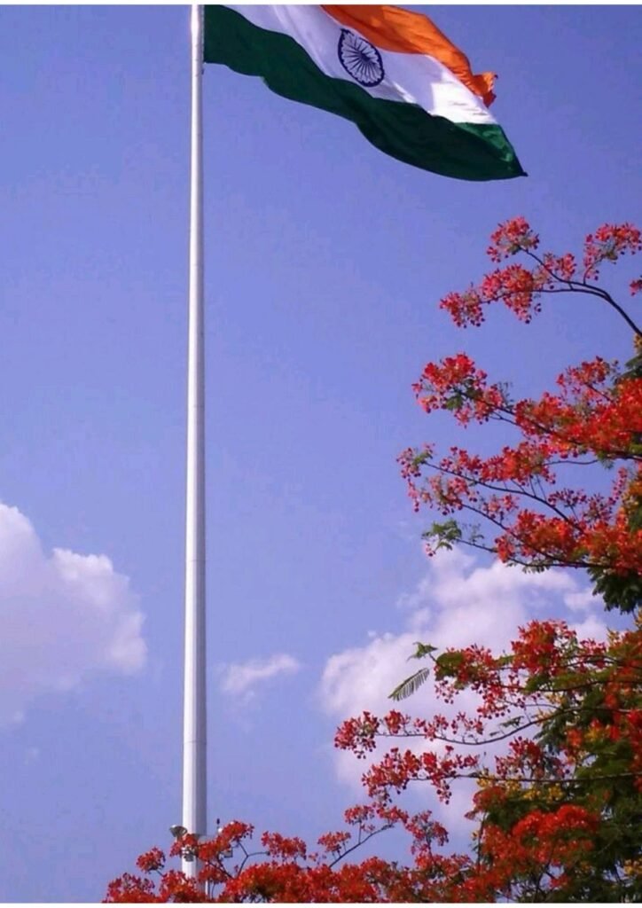 indian flag dp
