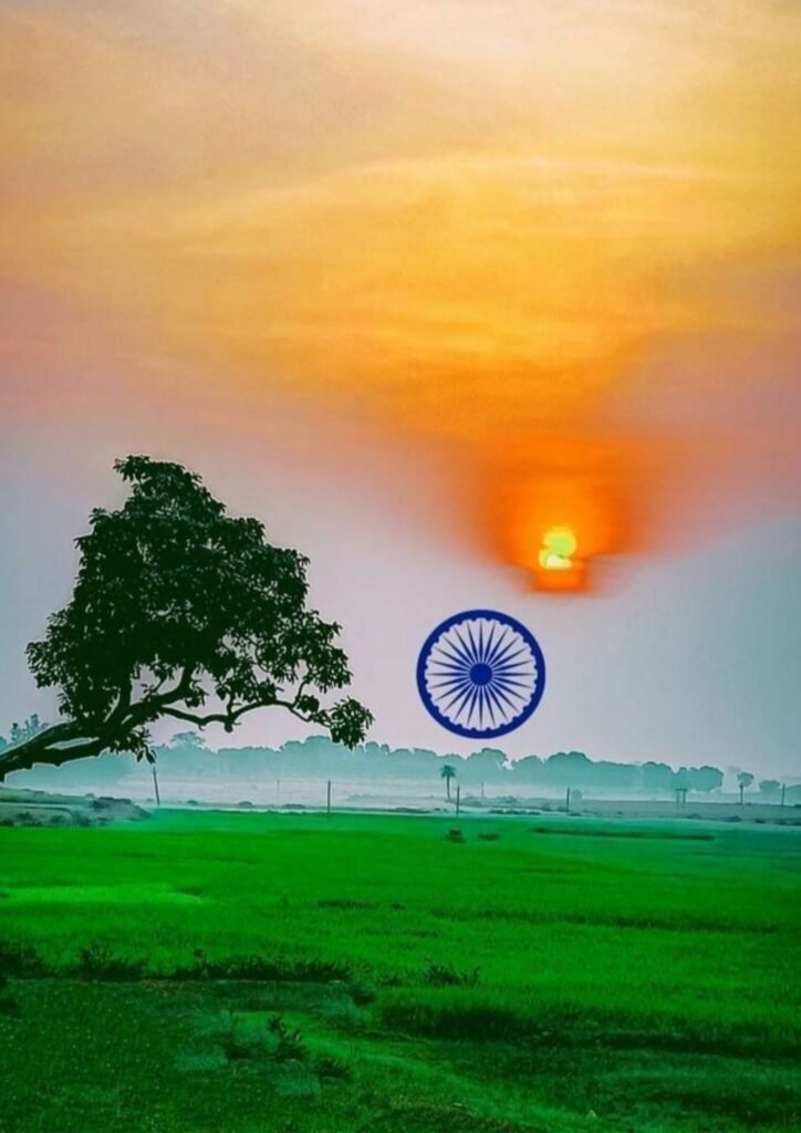 Beautiful Indian Flag DP