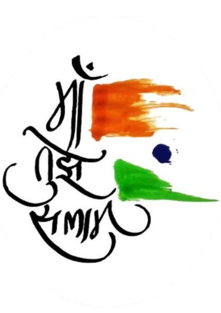 Beautiful Indian Flag DP