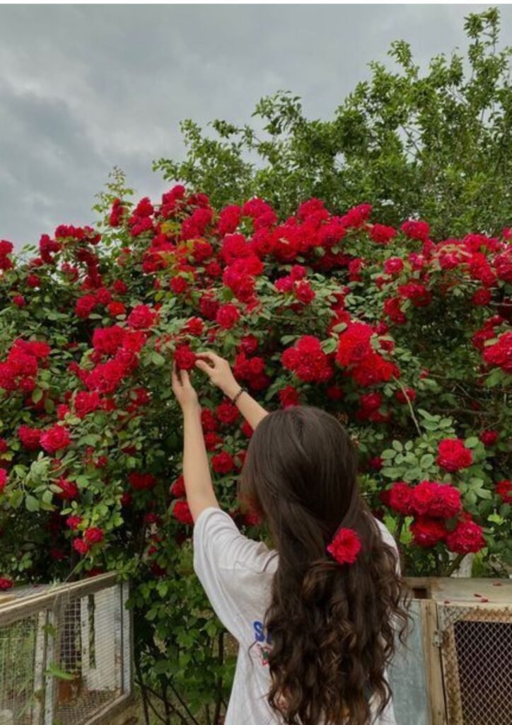 Girl Photo Dp