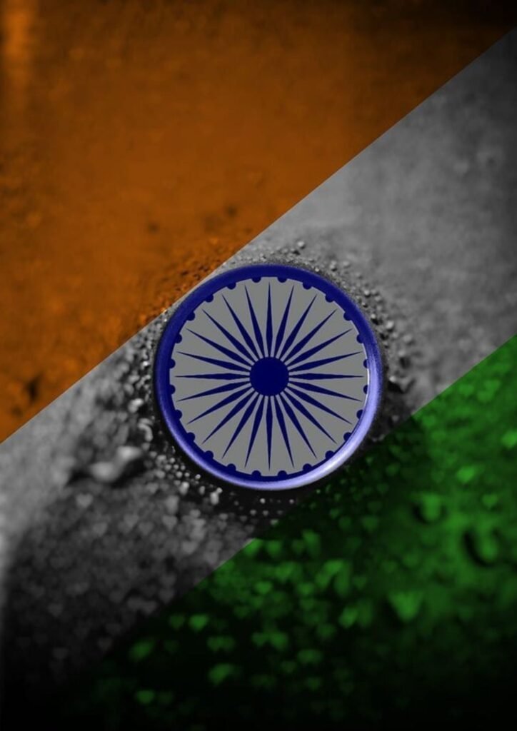 Beautiful Indian Flag DP