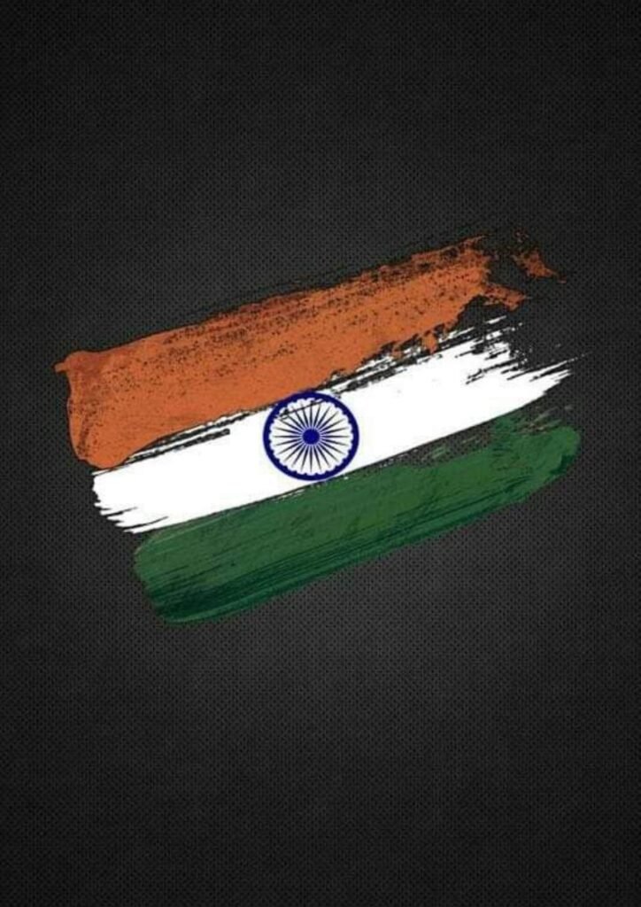 Beautiful Indian Flag DP