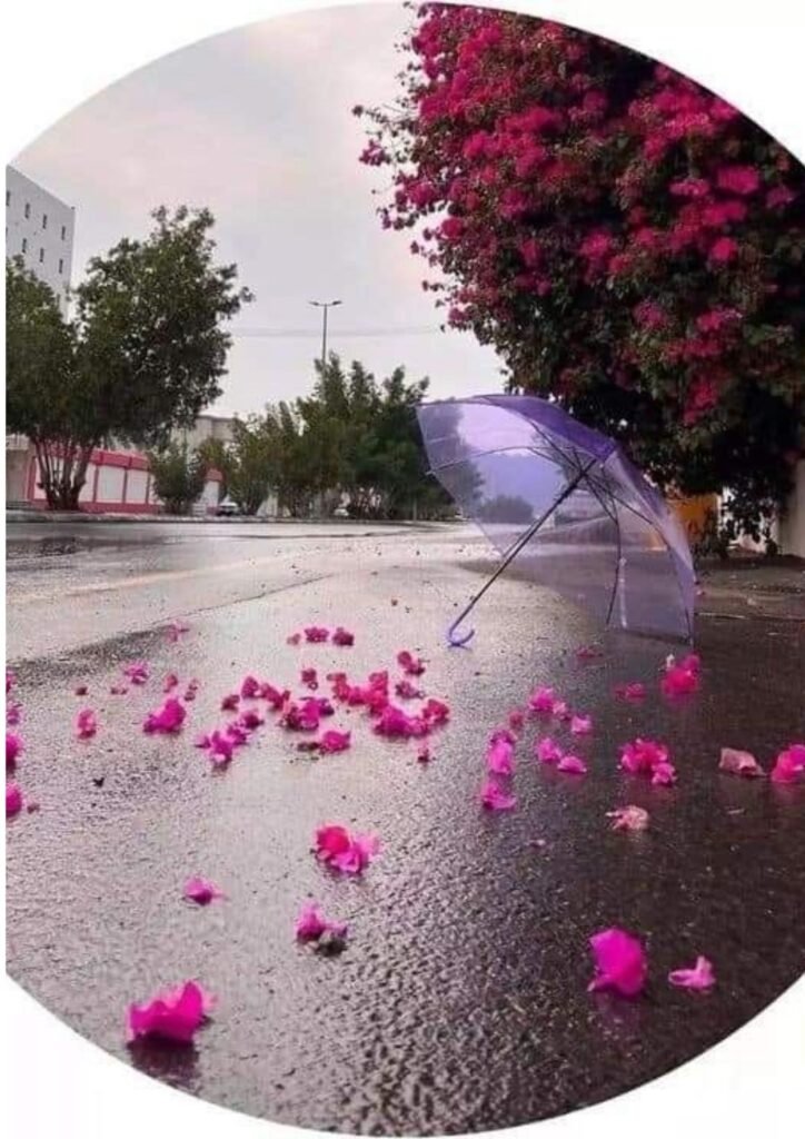 Best DP Pic For Whatsapp