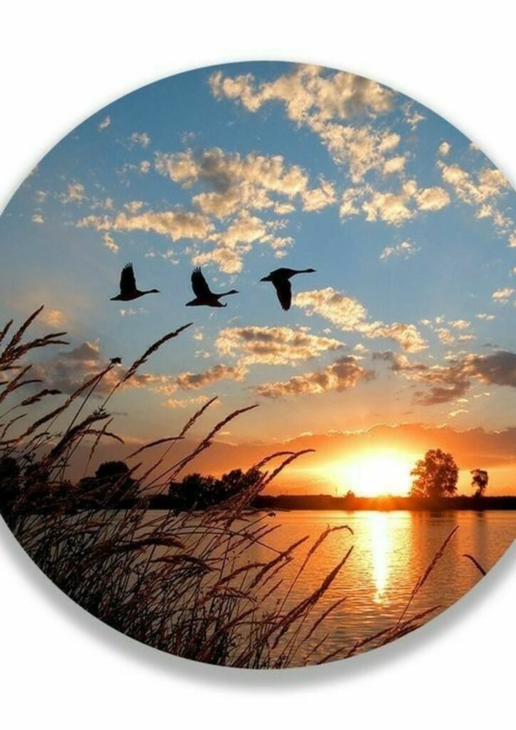 Best DP Pic For Whatsapp
