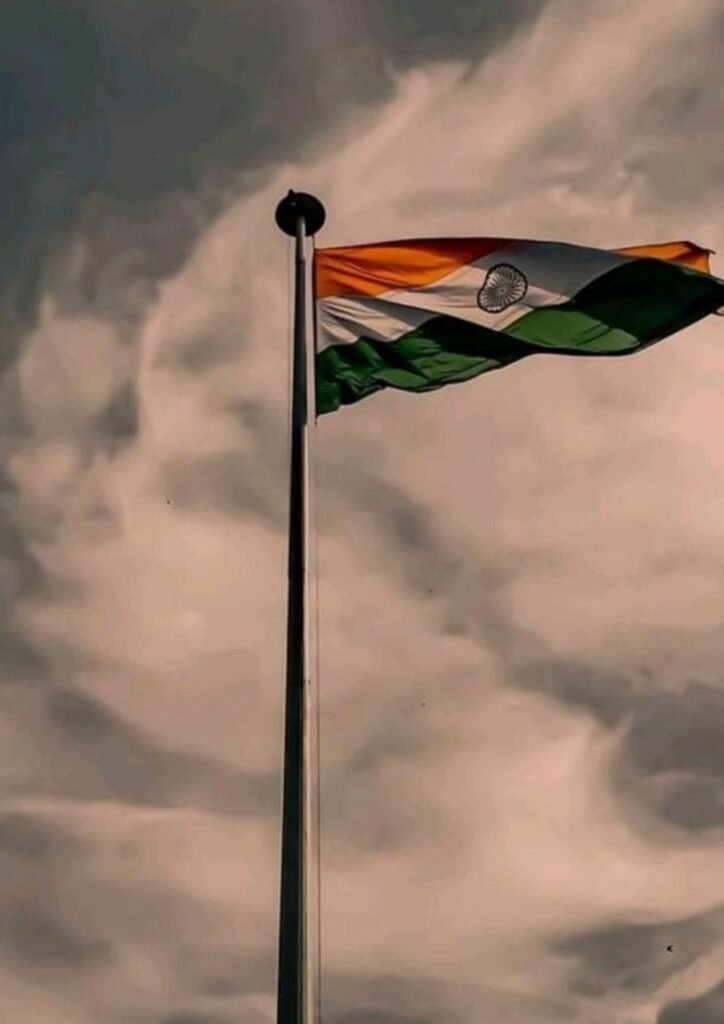 Beautiful Indian Flag DP