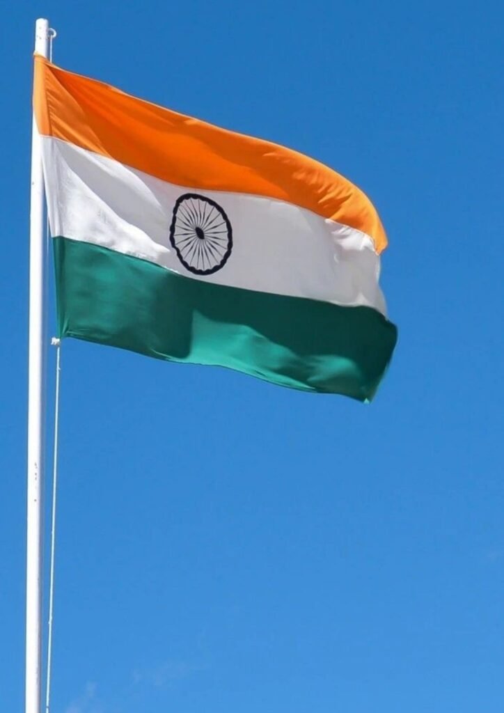 Beautiful Indian Flag DP