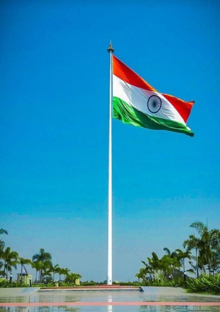indian flag dp