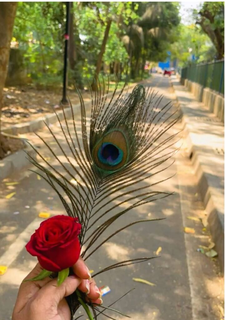 Best DP Pic For Whatsapp