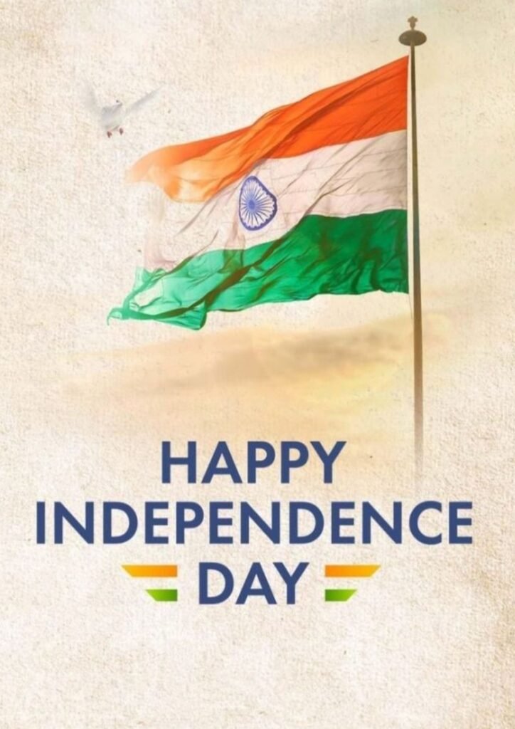 Beautiful Indian Flag DP