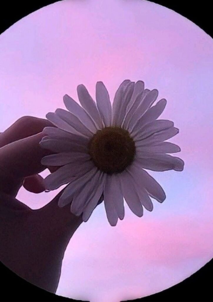 WhatsApp DP for Girls