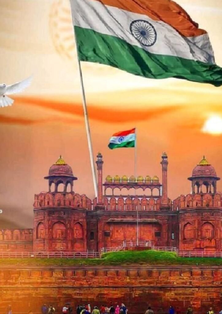 Beautiful Indian Flag DP