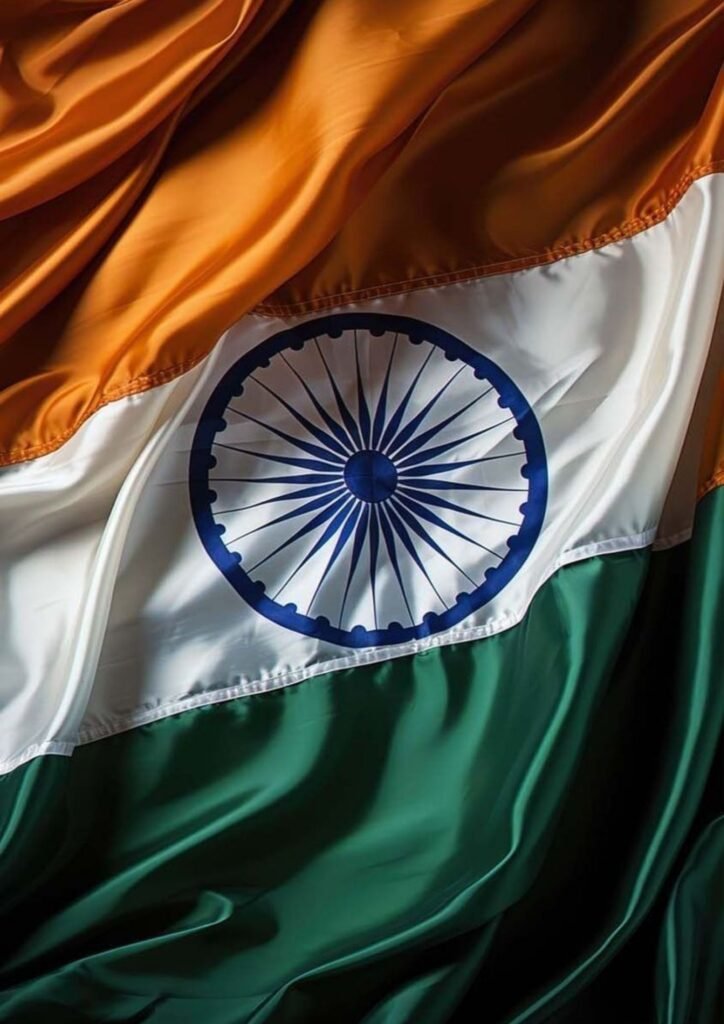Beautiful Indian Flag DP