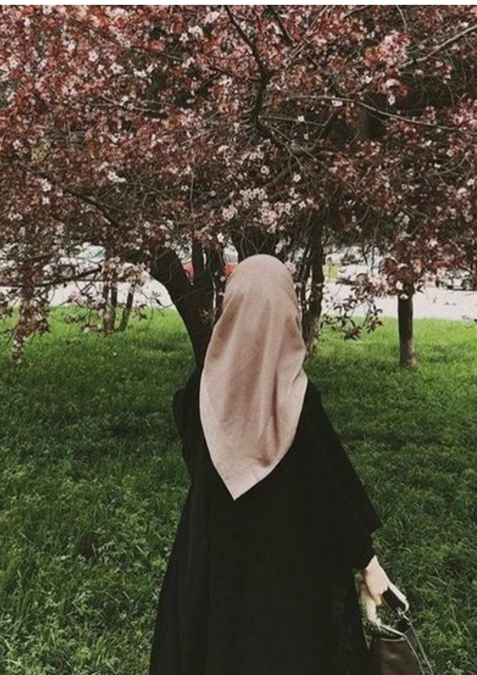 Hijab Girl DP