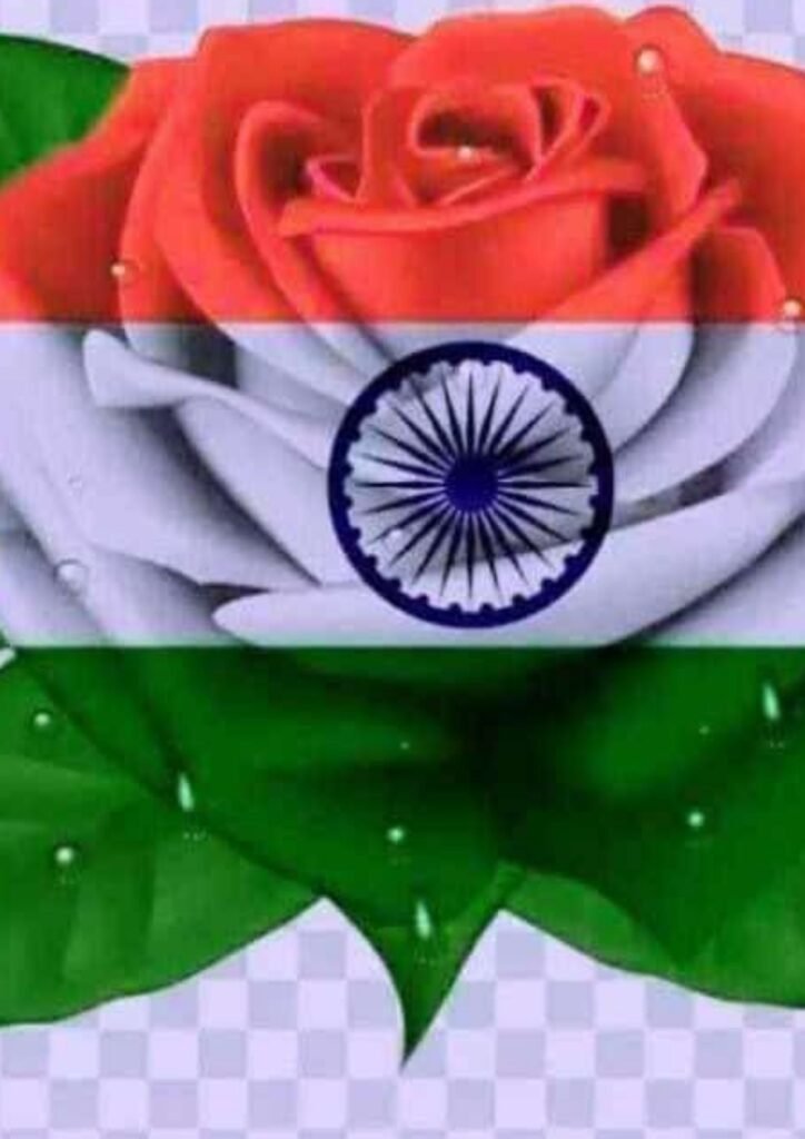 Beautiful Indian Flag DP