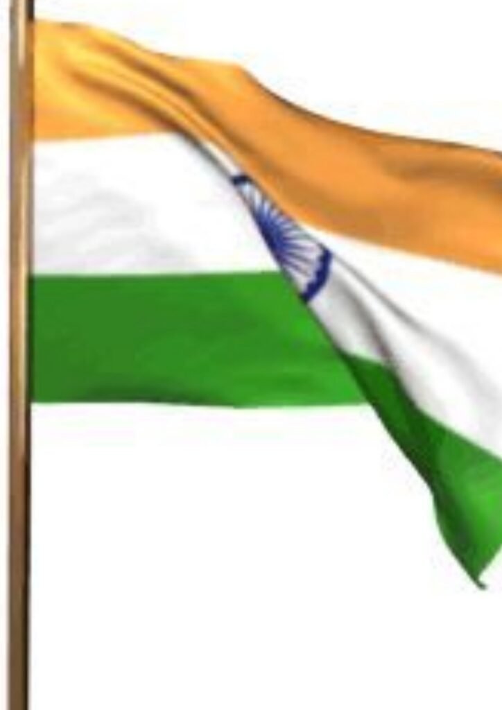 indian flag dp
