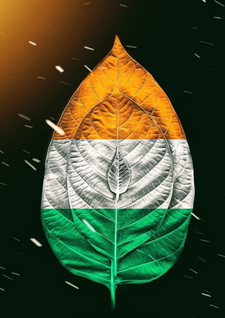 Beautiful Indian Flag DP