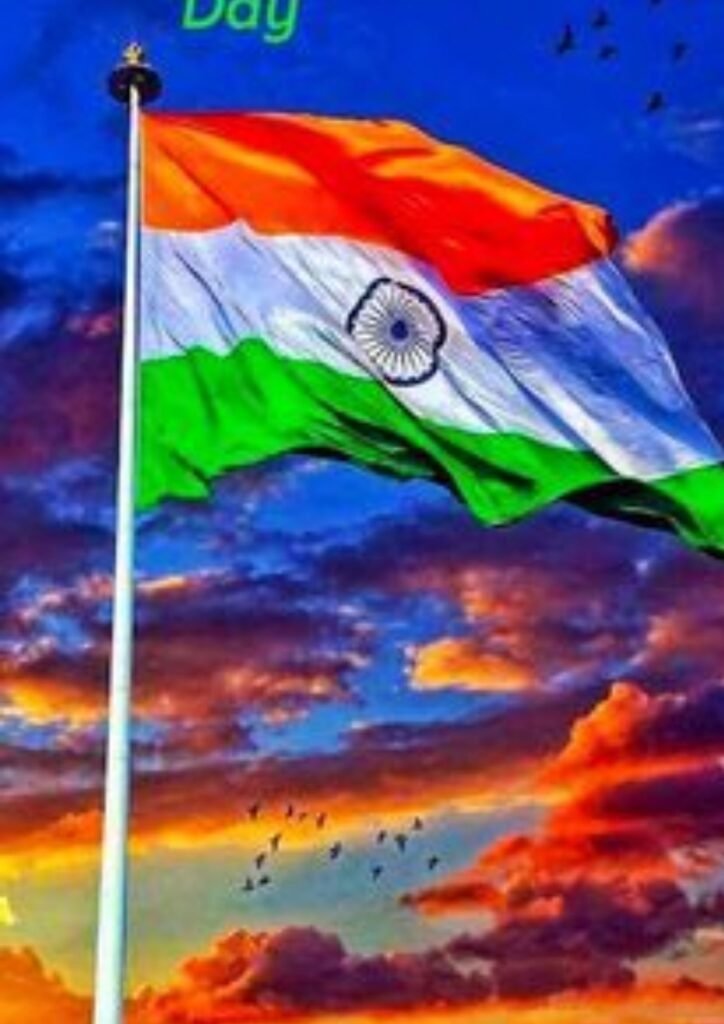 indian flag dp