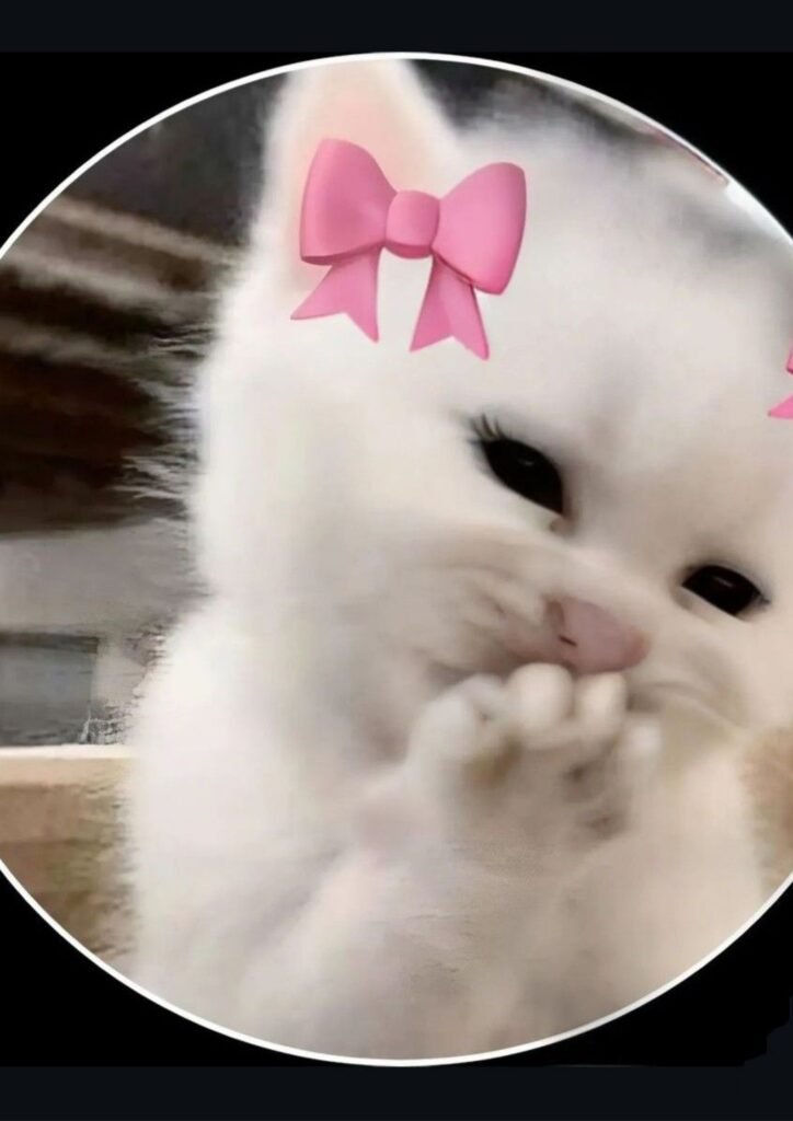 Instagram DP for Girls