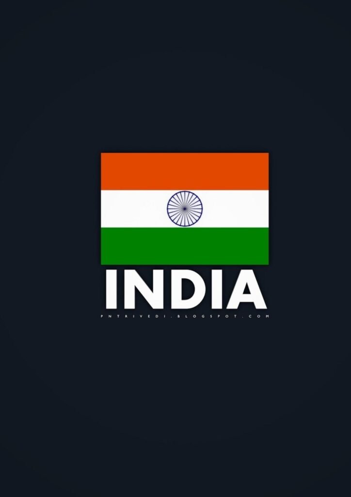 Beautiful Indian Flag DP