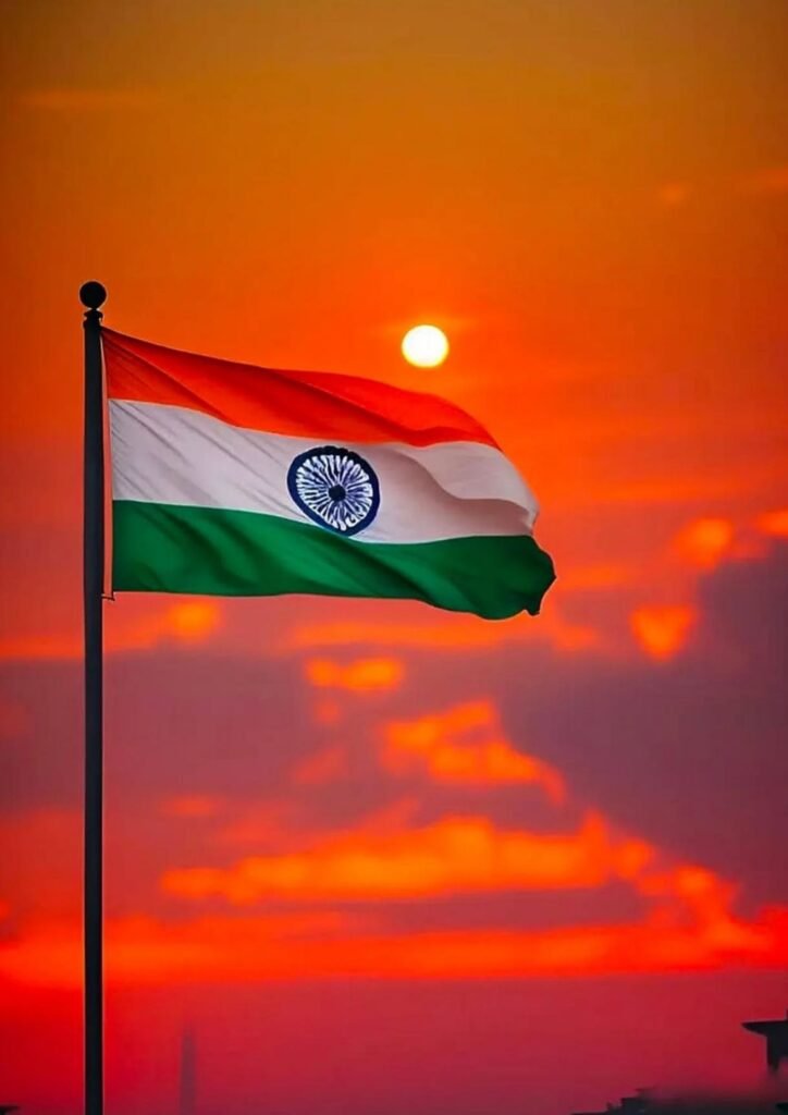 Beautiful Indian Flag DP