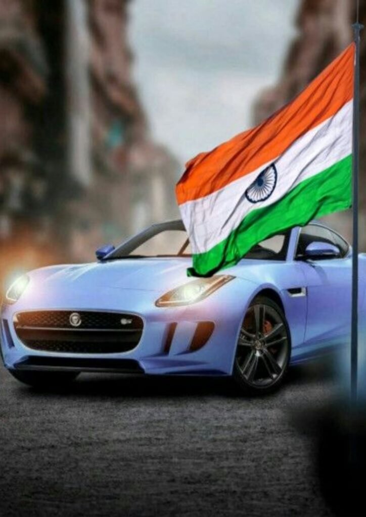 indian flag dp