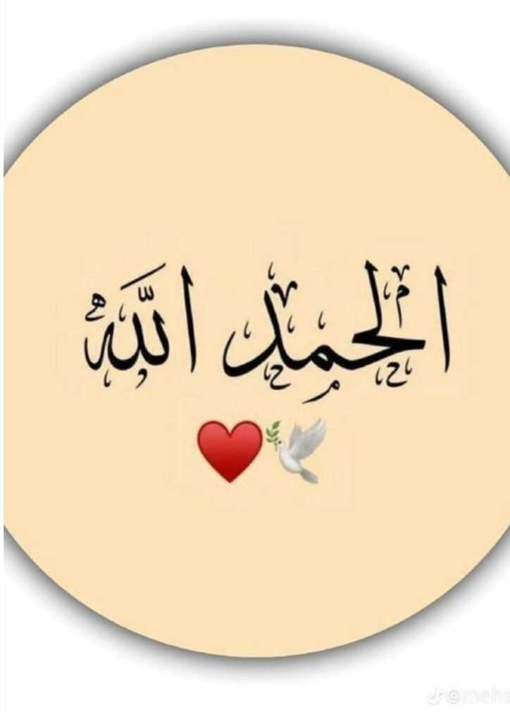 Best DP Pic For Whatsapp