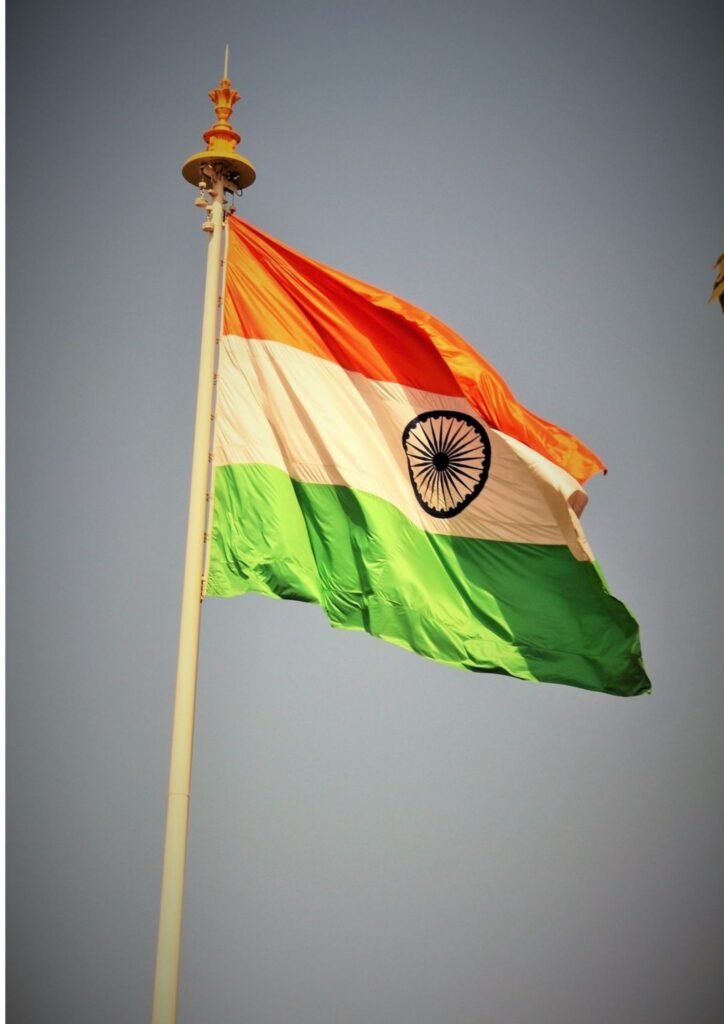indian flag dp