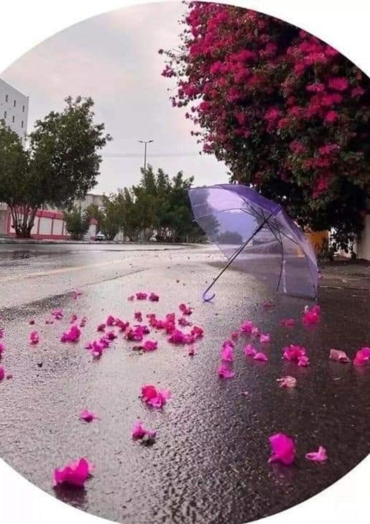 WhatsApp DP for Girls