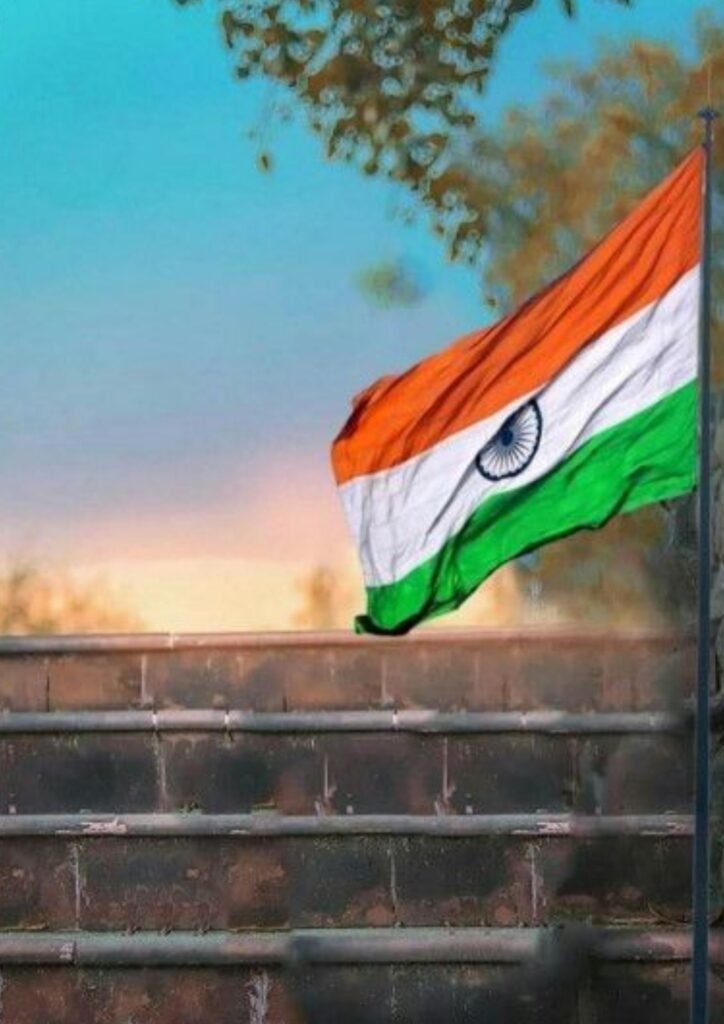 indian flag dp