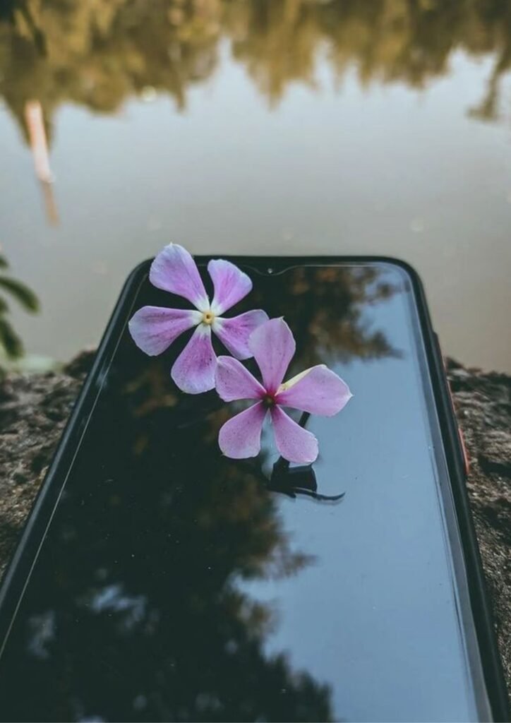 WhatsApp DP for Girls