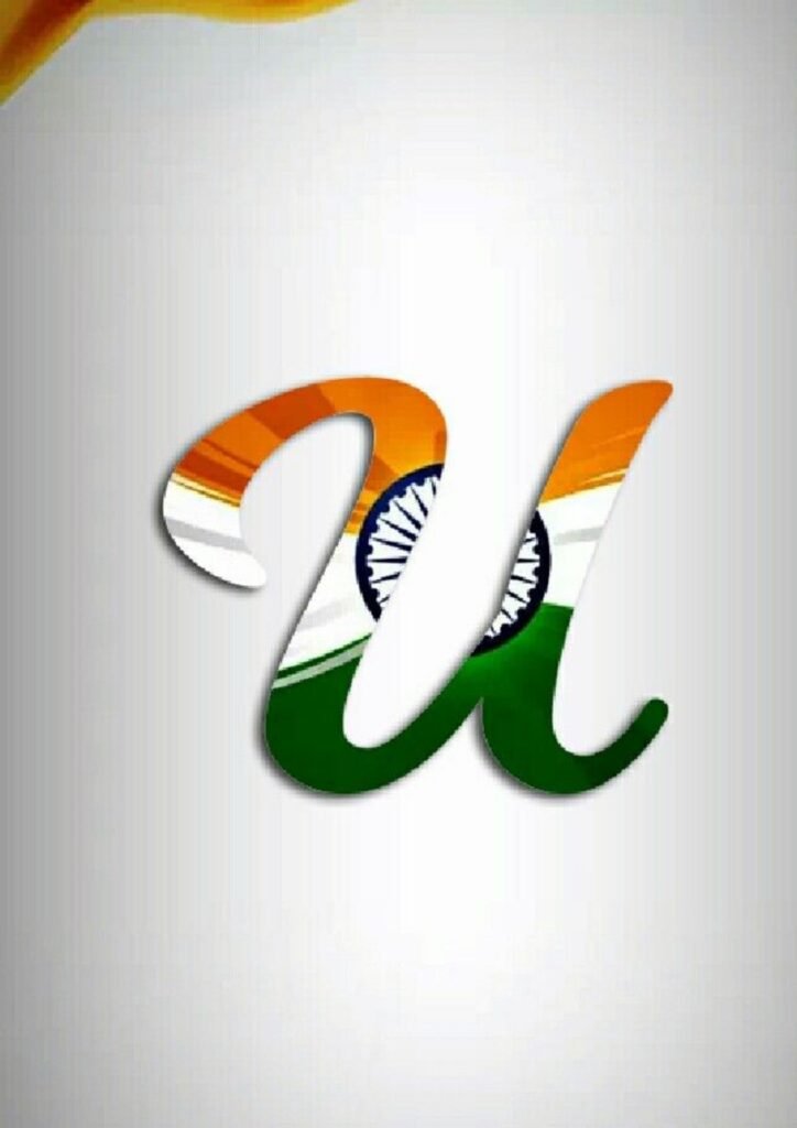 indian flag dp