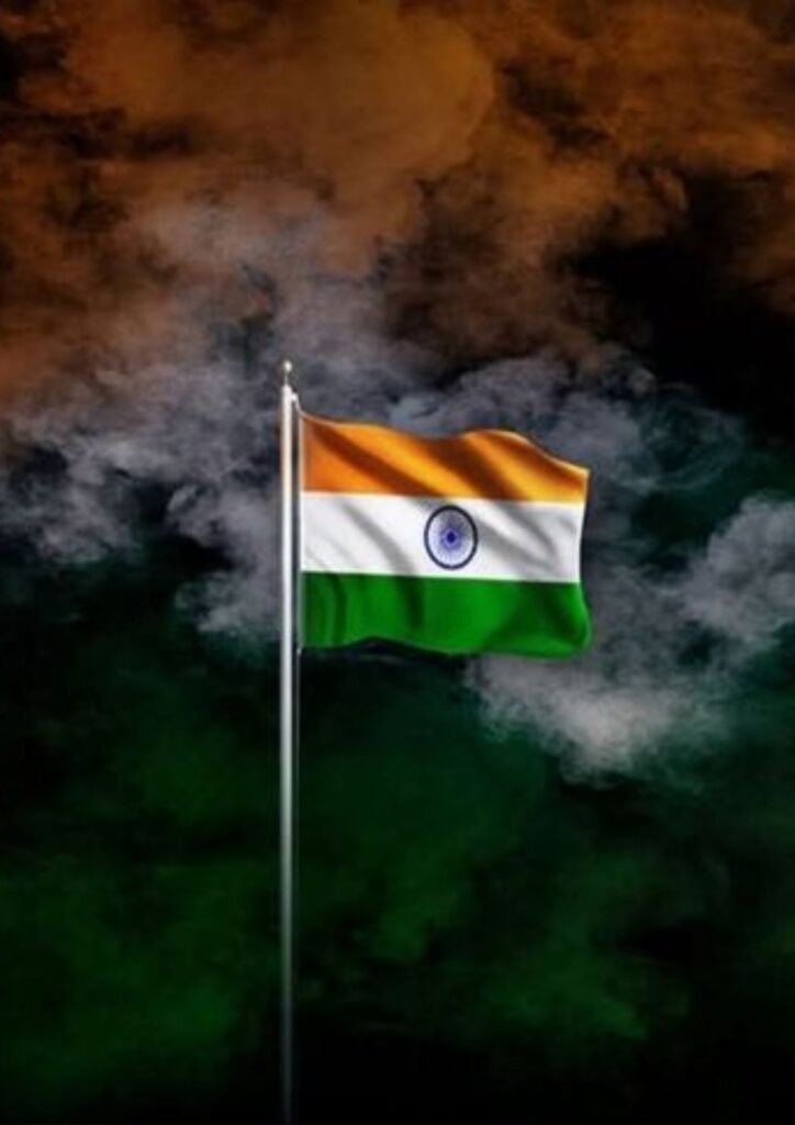 Beautiful Indian Flag DP
